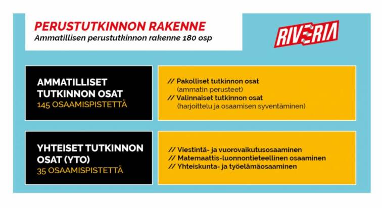 Kaavio kuvailee perustutkinnon rakennetta.